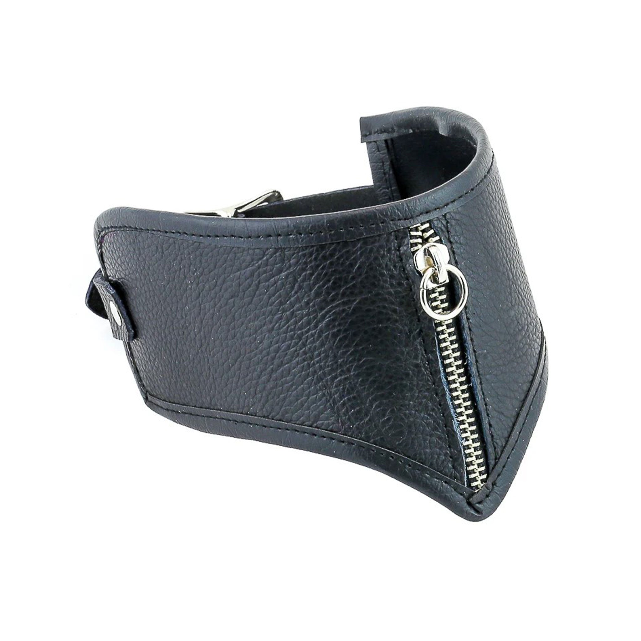 Leather genuine nylon collar posture posture-collar wallet moneykeeper money keeper money-keeper dual-purpose adjustable buckle zip zipper O-ring D-ring bondage bdsm restraint accessories black