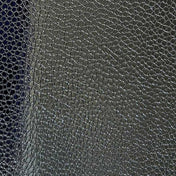 Jaguar Mesh Leggings on PVC G-string