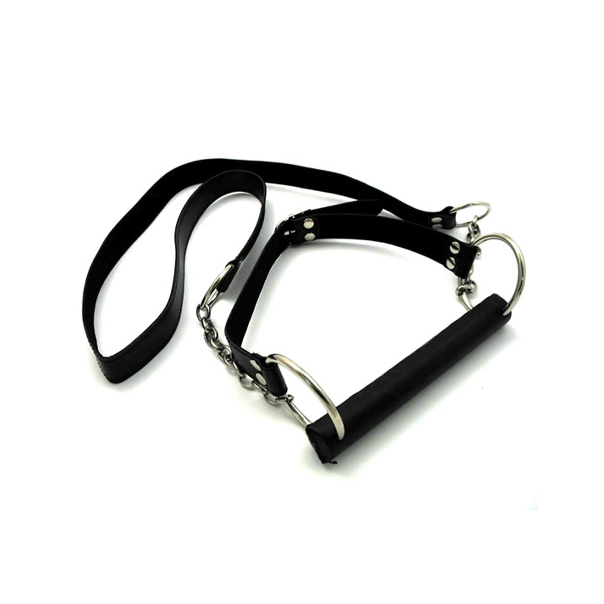 Leather faux-leather gag mouthpiece mouth-gag bit-gag leads reins trainer-reins O-ring adjustable rider fetish fashion alt-fashion bdsm bdsm-gear bondage submission kink kinky kinky-play pony horse animal-play pet-play pony-play show-pony training adult-toys unisex black
