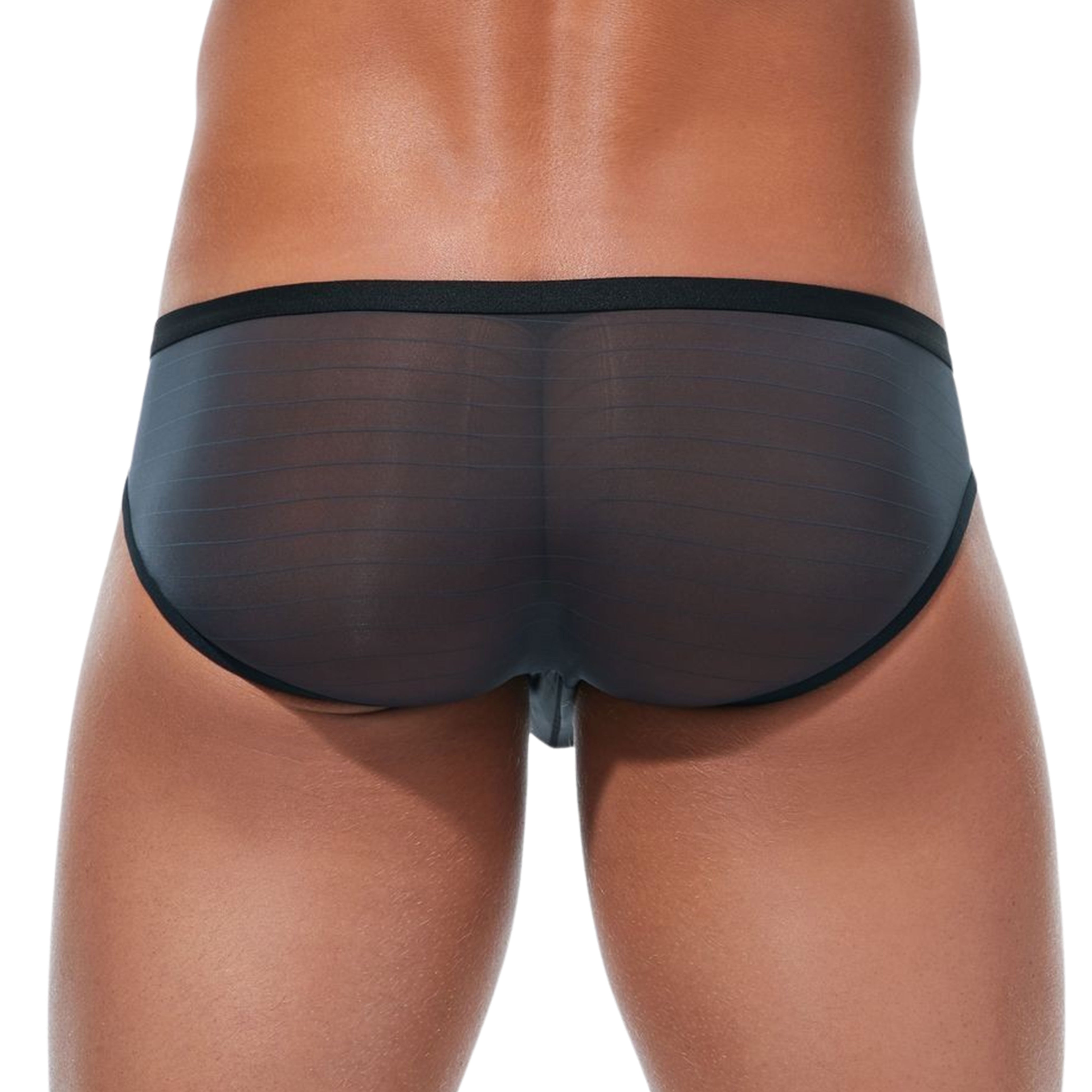 SEX TOY Sheer Stretch Brief Underwear