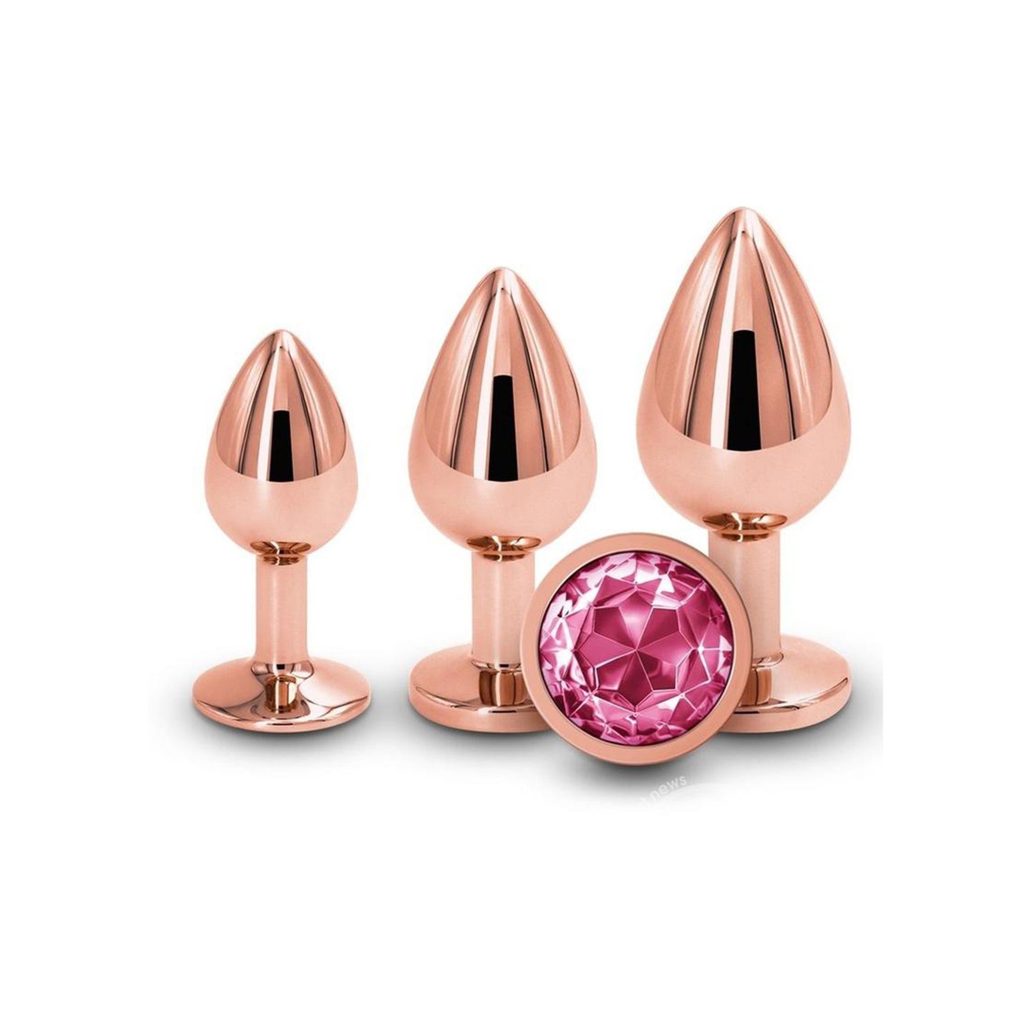 Rear Assets Aluminum Gem Anal Plug Trainer Kit