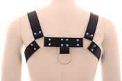 Men's Chest Harness Bulldog Style