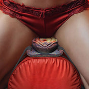 Silicone neoprene ABS-plastic velcro straps grinder grinding pad strap-on vibrator vibrating vibration vibe bullet integrated remote-control fantasy angel devil hell's-angel creature-cocks kink kinky kinky-play couples couples-play adult-toys multicolor