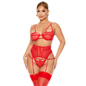 Fishnet sheer mesh lingerie set strappy bra garter belt best cincher slide clips T-back panty O-ring valentines gift intimates sexy red