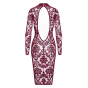 Mesh sheer tulle transparent apparel dress midi-dress longsleeve long-sleeve sleeves sleeved open-back neck-holder high-collar hook-and-eye flocked flocking elastic tailored alluring sophisticated comfortable lightweight elegant stylish sexy seductive luxurious refined soft fitted flattering figure-hugging sensual fetish fashion alt-fashion party formal female femme feminine womens holiday-gifts valentine gift burgundy