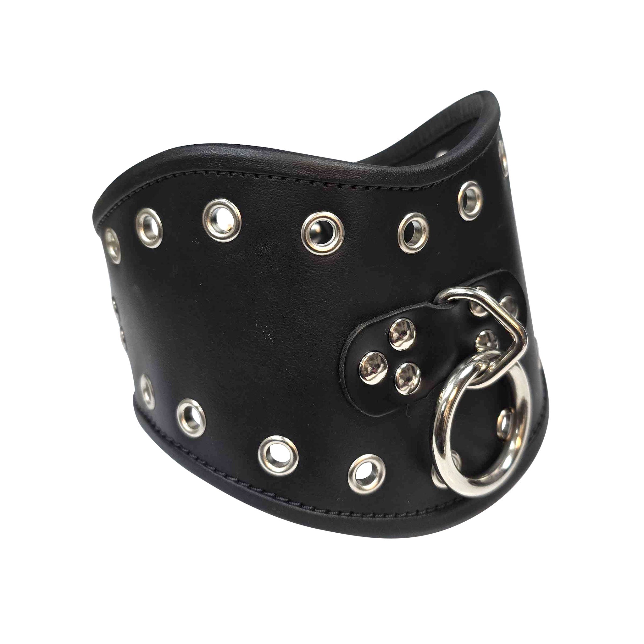 Leather genuine-leather accessories restraints collar choker posture-collar posture leash lead O-ring locking lockable buckle adjustable ergonomic trimmed grommets fetish fashion alt-fashion bondage bdsm kink kinky kinky-play submission adult-toys bdsm-toys bdsm-gear black