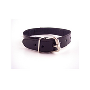 rouge o ring studded adjustable leather collar black genuine leather collar metal studs removable o ring buckle closure gothic accessory adult fashion edgy collar alternative style