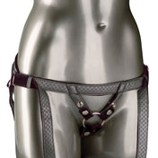 Her Royal Harness Regal Duchess Adj  Harness - Pewter
