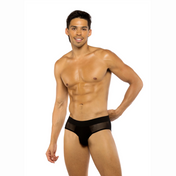 sheer mesh peek-a-boo briefs front and back cutouts cheeky lingerie sexy panties elastic waistband soft stretch fetish factory intimates