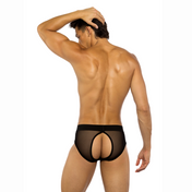 sheer mesh peek-a-boo briefs front and back cutouts cheeky lingerie sexy panties elastic waistband soft stretch fetish factory intimates