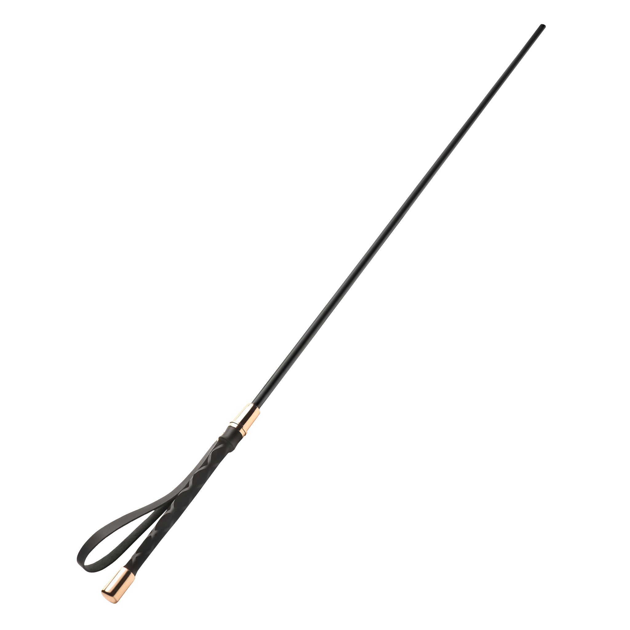 PE plastic PVC vinyl PU leather vegan impact impact-play impact-toys cane crop spanking striking sadism masochism bdsm bdsm-gear black gold