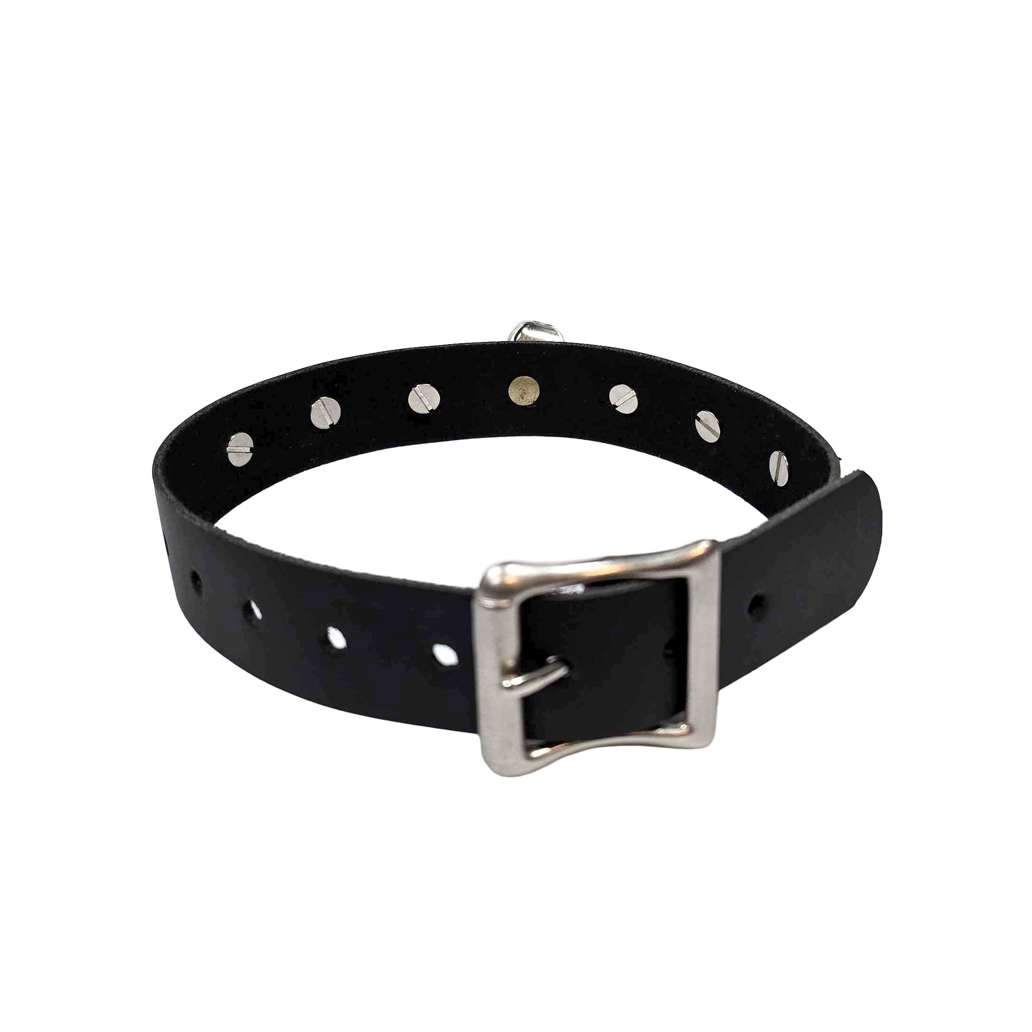 Leather accessories collar choker thin-strap D-ring O-ring spiked spike spikes spike-studded spike-studs bell-charm jingle-bell sleigh-bell edgy adjustable buckle buckle-clasp fetish fashion alt-fashion bondage bdsm bdsm-gear bdsm-toys submissive sub slave kink kinky kink-toys kinky-play pet-play pet-training kitty kitten cat catgirl pup puppy pup-play furry yiff unisex black