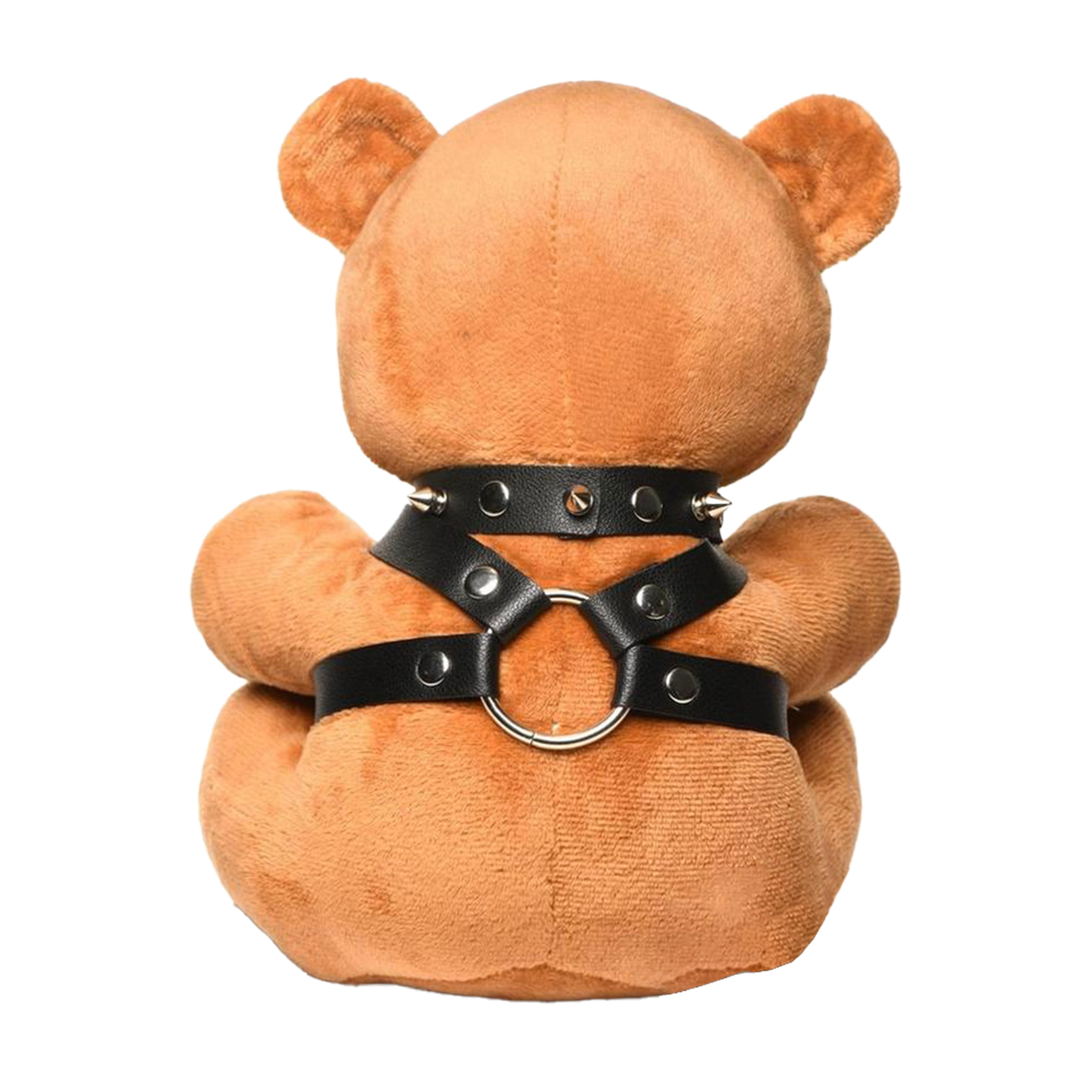 Plush Bear with Puppy Hood, Leash & Harness