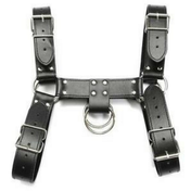 Men's Chest Harness Bulldog Style