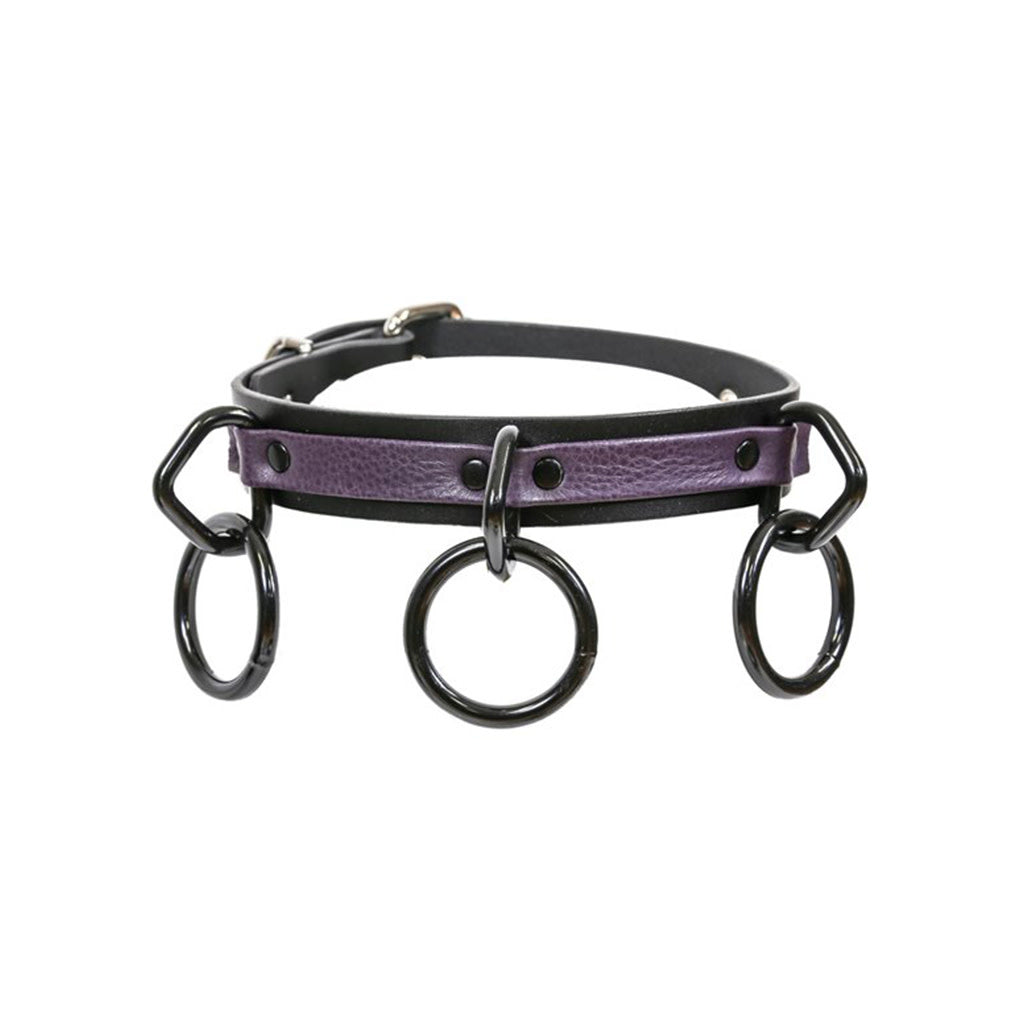 Bondage 3 Ring Leather Collar with Contrast Trim O/S