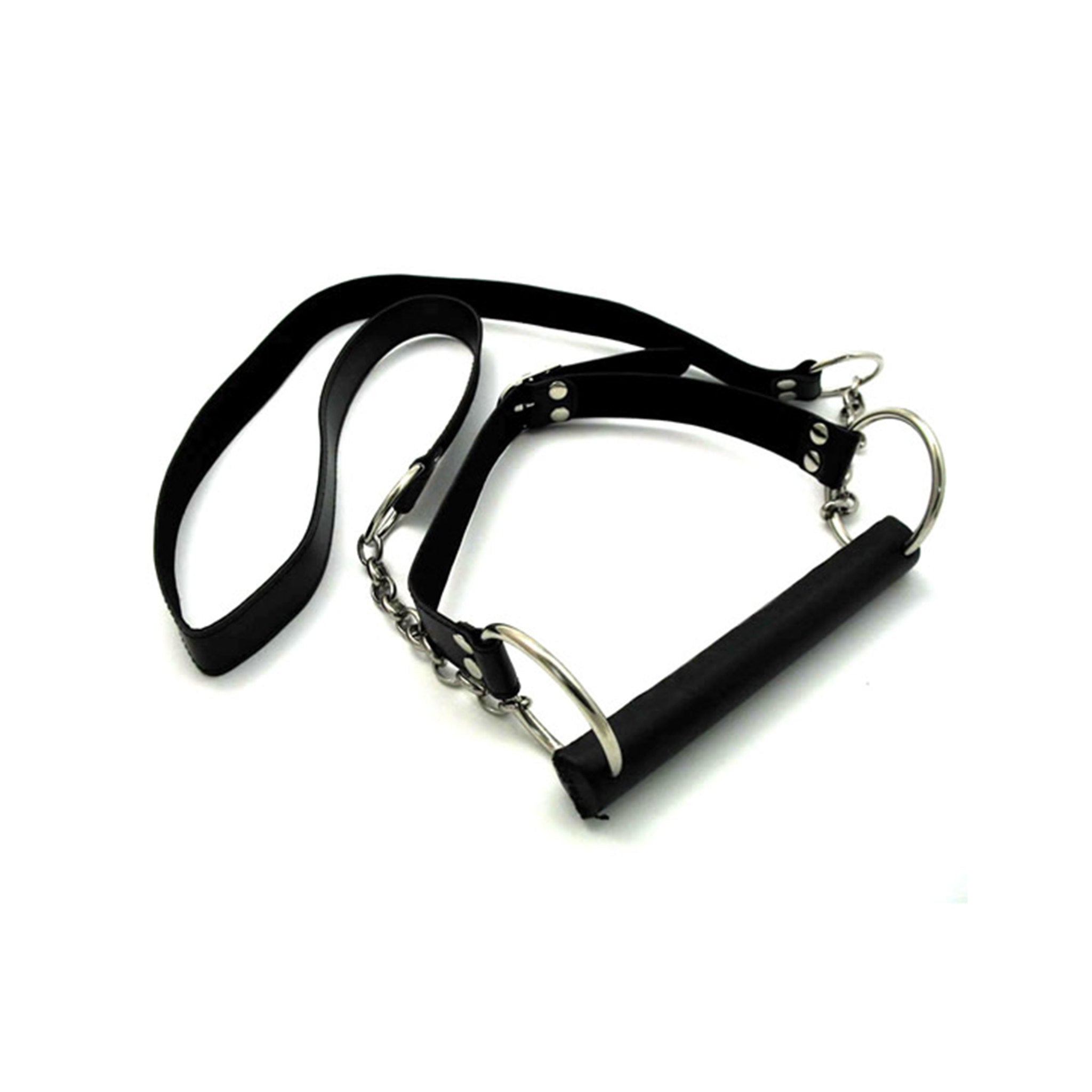 Pony Bit Gag With  Trainer Reins