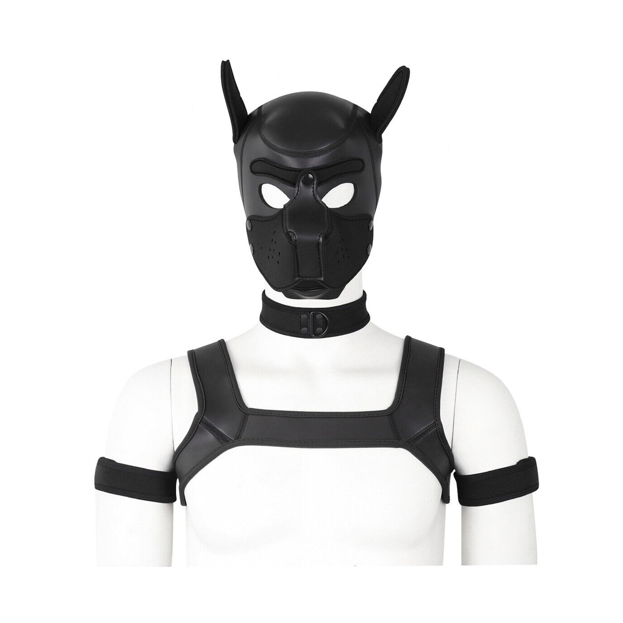 Neoprene Puppy Kit (hood, tail, armbands, collar, leash, bone gag, harness, paw gloves)