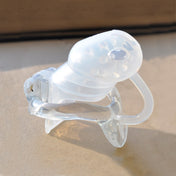 Vendor8