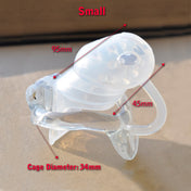 Vendor9